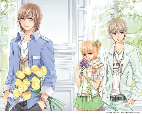 福建导航大菠萝